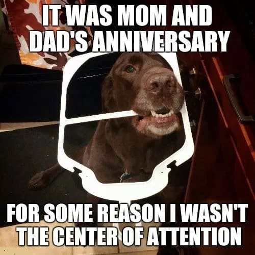 Top 20 Funny Happy Anniversary Memes – SheIdeas