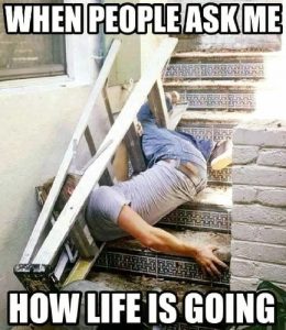30 Life Is Hard Memes to Make Laugh on Tough Time – SheIdeas