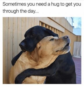 20 Need a Hug Meme to Warm You Up – SheIdeas