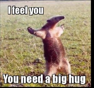 20 Need a Hug Meme to Warm You Up – SheIdeas