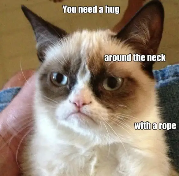 20 Need a Hug Meme to Warm You Up – SheIdeas