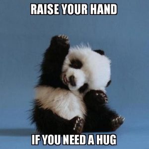 20 Need a Hug Meme to Warm You Up – SheIdeas