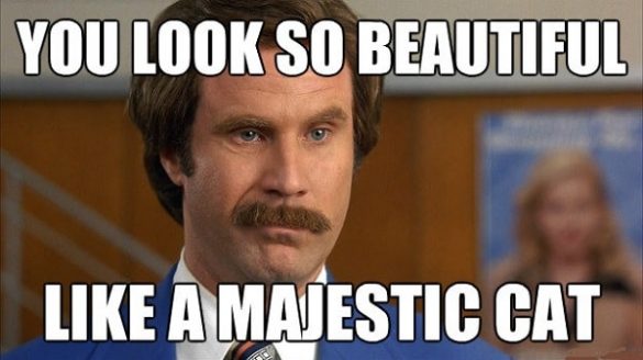 30 You're Beautiful Memes to Express Aesthetic Appreciation