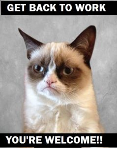 50 You Are Welcome Memes That Are Breaking The Internet – SheIdeas