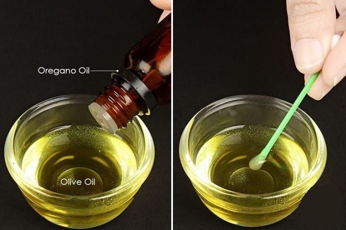 How to Use Oregano Oil for Herpes