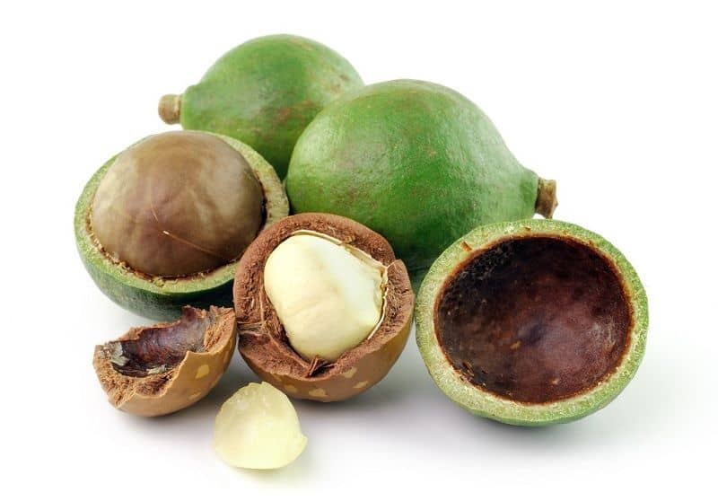 Tamanu oil for Hair