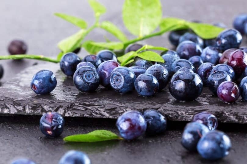side effects and warnings of acai berries