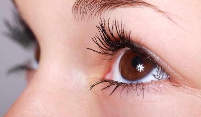 argan oil for eyelash growth