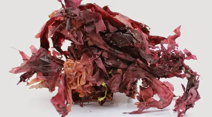 how to take red marine algae